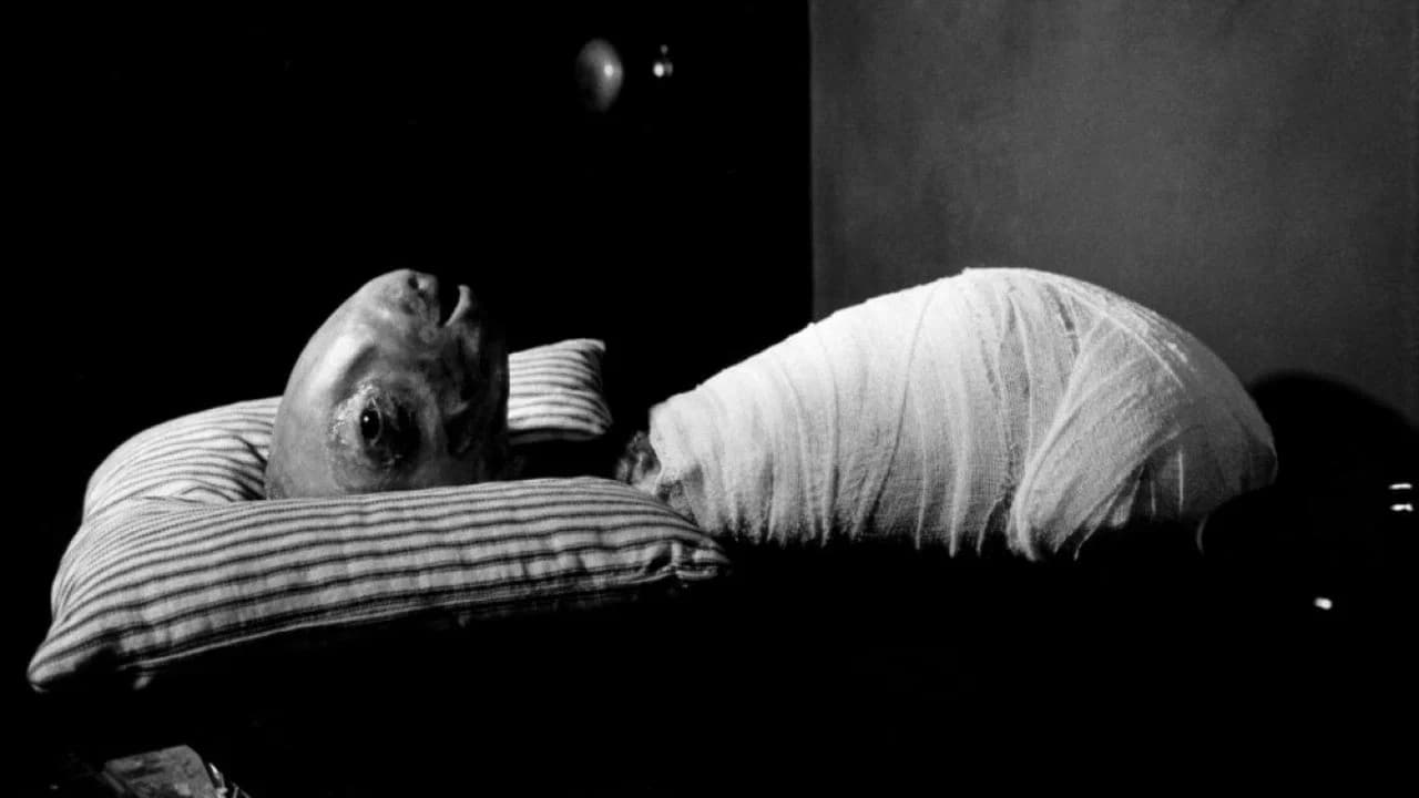 Fatos ocultos sobre Eraserhead: O que você não percebeu