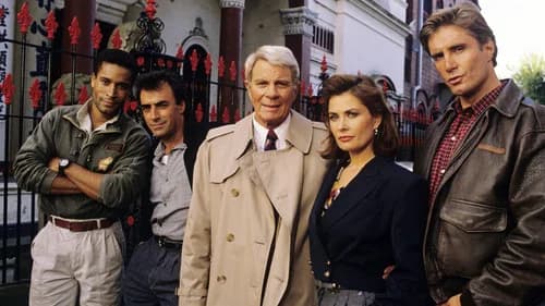 Onde assistir O Pentelho (1996) online? Melhor streaming e Sinopse