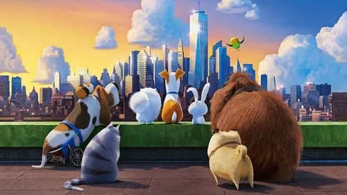 Pets: A Vida Secreta dos Bichos completo dublado HD: Veja onde assistir e confira a crítica