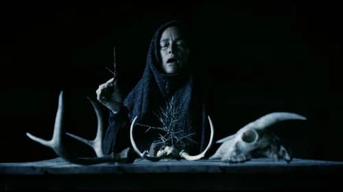 Vale a pena assistir Mother of Flies? Nota, Elenco e Onde passa dublado