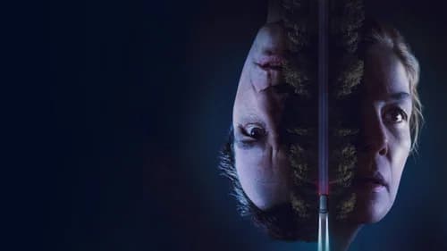 Melhor streaming para assistir Hallow Road: Caminho Sem Volta online hoje no Brasil