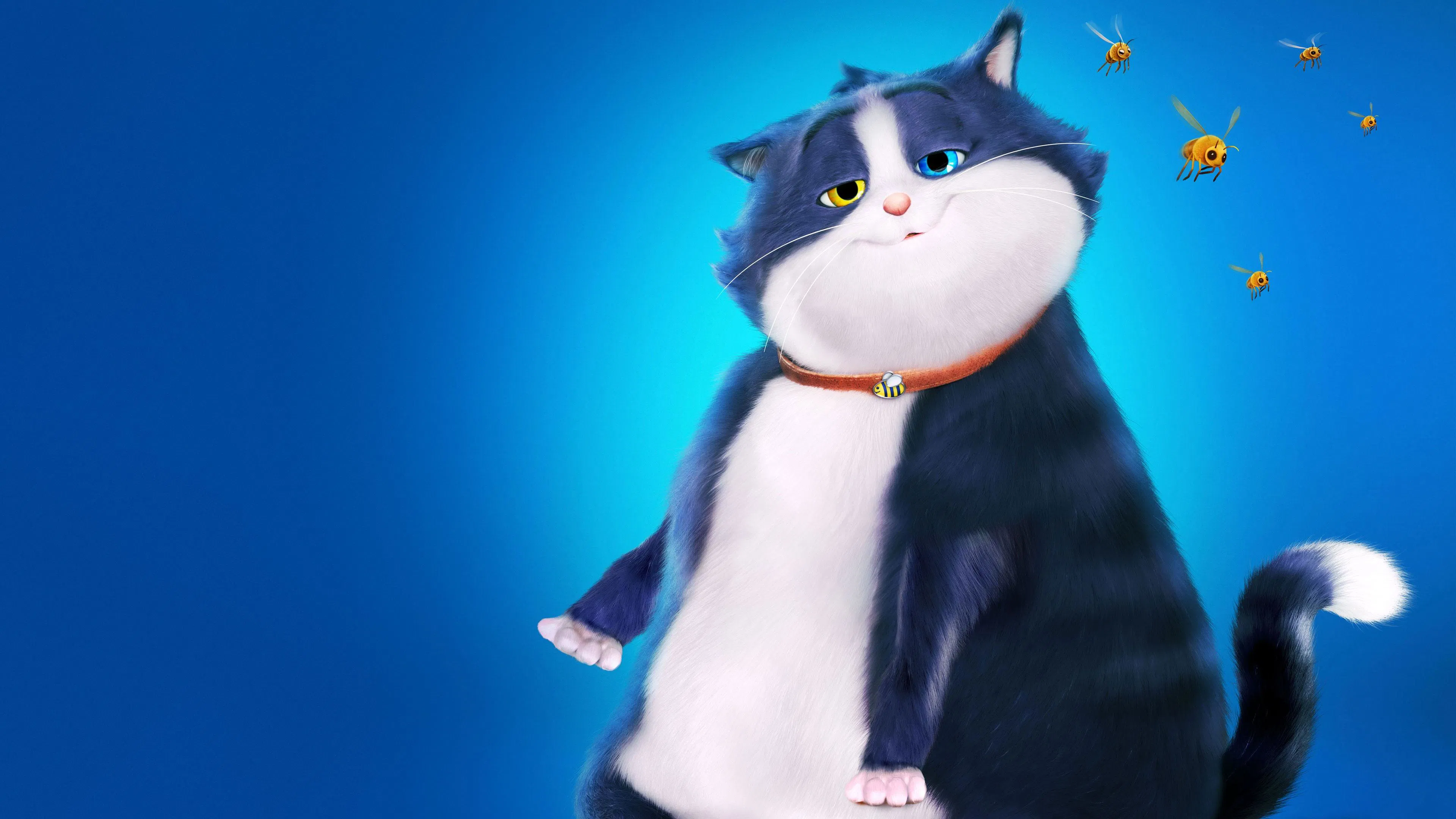 Final explicado de Um Gato de Sorte: Detalhes dos bastidores revelados