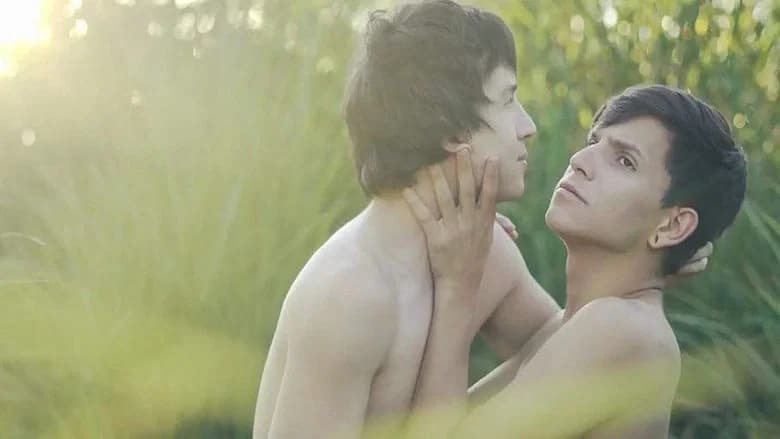 Fatos ocultos sobre Primos: O que você não percebeu
